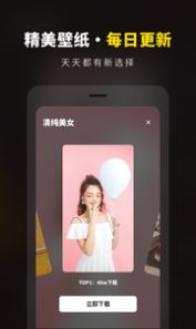 壁纸大全精选app下载