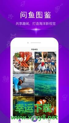 问鱼安卓版 v1.1.7 手机免费版