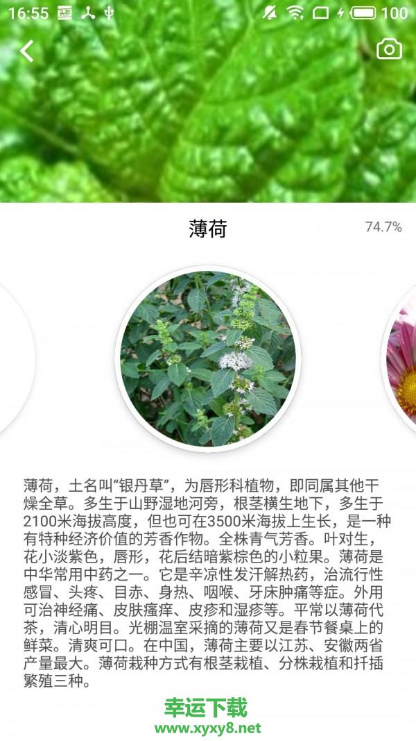 森林百科