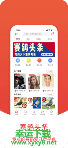 赛鸽头条下载