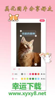 猫狗翻译器app